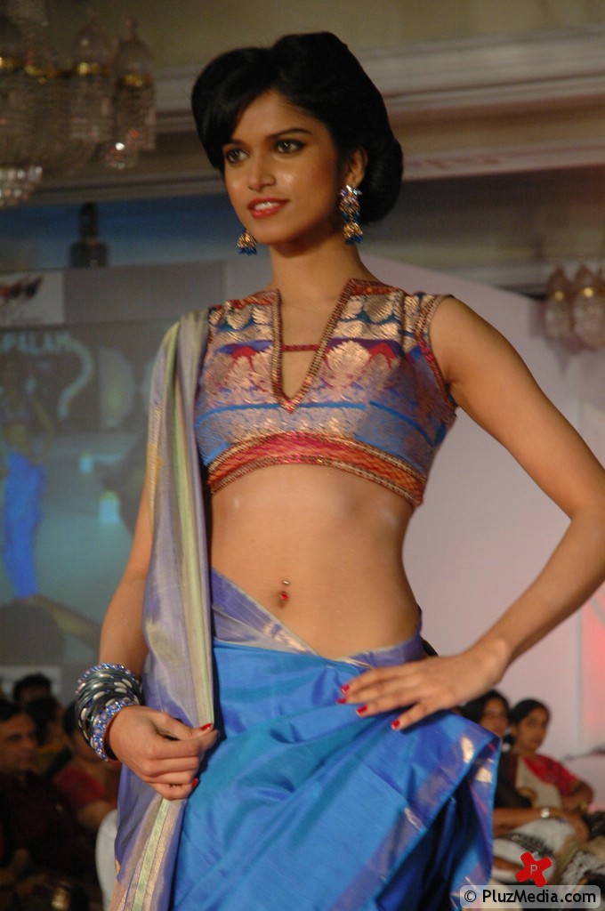 Palam Silk Fashion Show 2011 Pictures | Picture 74238